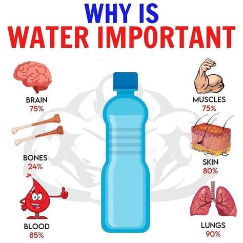 Why Is Water Important, Drink Water Quotes, Healthy Liver Diet, Water For Health, Water Quotes, Healthy Facts, Food Health Benefits, Mental Health Facts, Health And Fitness Articles