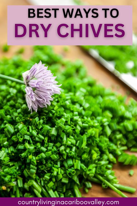 How To Use Chives, How To Save Fresh Chives, Dry Chives How To, Preserving Chives Fresh Herbs, How To Dry Chives In The Oven, How To Dry Chives In The Microwave, What To Do With Fresh Chives, How To Dry Chives Fresh Herbs, What To Do With Chives