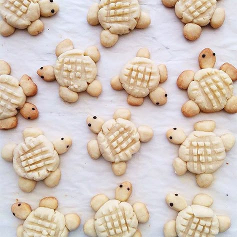 Oh my gosh: World's cutest cookies from Elleventy on Instagram. Turtle Cookies, Turtle Birthday, Turtle Party, Cute Snacks, Dessert Dips, Easy Peanut Butter, Thumbprint Cookies, Shower Cupcakes, Baby Shower Cupcakes