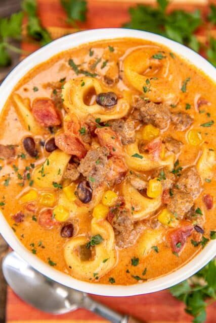 Tomato Soup Based Recipes, Mexican Tomato Soup, Mexican Tortilla Soup, Mexican Tortilla, Tomato Tortellini Soup, Slow Cooker Chicken Chili, Condensed Tomato Soup, Canned Tomato Soup, Veg Soup