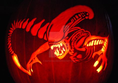 Alien Pumpkin by Naitachal666 on DeviantArt Alien Pumpkin, Halloween Pumpkins Carvings Designs, Pumpkin Carving Contest, Predator Movie, Creative Pumpkin Carving, Amazing Pumpkin Carving, Pumpkin Carving Designs, Halloween Pumpkin Designs, Pumpkin Carving Patterns