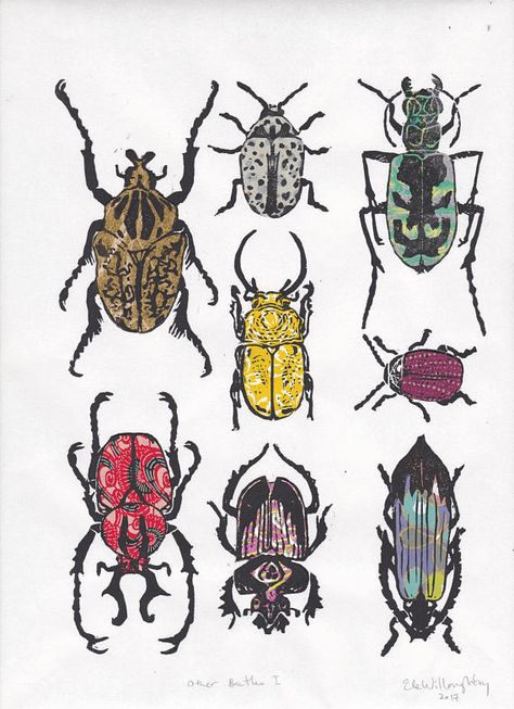 Other Beetles VII - Hand-printed Linocut Print of a Collection of Beetles on Various Pattterned Japa Printmaking Relief, Lino Block, Color Pen, Beautiful Bugs, Insect Art, Monoprint, Japanese Paper, Lino Print, Linocut Prints