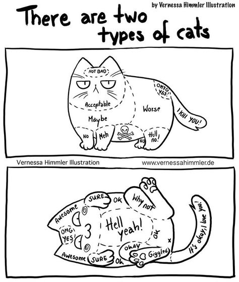 20+ Hilarious Comics That Capture My Life With Two Cheeky Cats Cat Language, Akita Dog, Types Of Cats, Cat Comics, Cat Facts, Animal Jokes, Cat Care, Funny Animal Pictures, Newfoundland