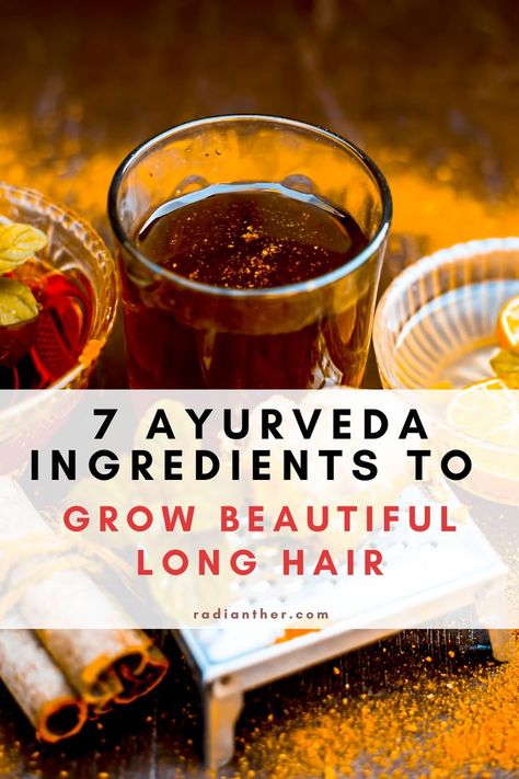 Ayurvedic Shampoo Recipes, Ayurveda For Hair Growth, Ayurveda Hair Growth, Ayurvedic Recipes For Hair Growth, Ayurvedic Herbs For Hair Growth, Ayurvedic Recipes For Hair, Remedy For Dry Hair, Hair Herbs, Ayurvedic Beauty