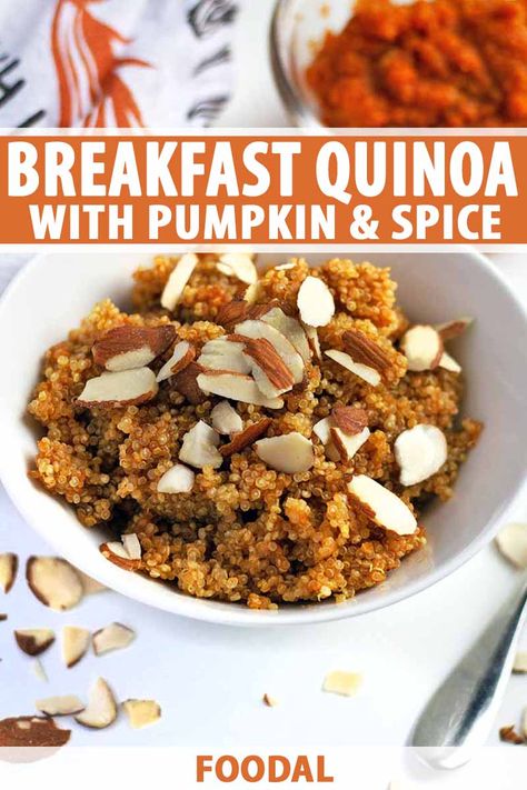 Get your pumpkin spice fix with a bowl of this warm and nourishing breakfast quinoa! Filled with pureed pumpkin and spices, drizzled with maple syrup, and then topped with nuts, it’s a cozy yet nutritious way to start your day. Read more now to add this recipe to your collection of favorites. #healthybreakfast #foodal Breakfast Quinoa Recipes, Quinoa Flakes, Breakfast Quinoa, Pumpkin Quinoa, Quinoa Breakfast Bowl, Baked Breakfast Recipes, Quinoa Breakfast, Homemade Pumpkin Puree, Paleo Pumpkin