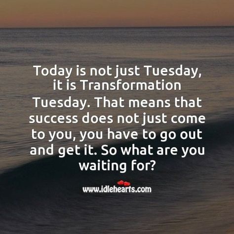 #TransformationTuesday Transformation Tuesday Quotes Fitness, Tuesday Business Motivation, Transformation Tuesday Quotes Motivation, Optavia Transformation Pictures, Tuesday Workout Quotes, Transformation Tuesday Quotes, Transformational Tuesday, Tuesday Affirmations, Tuesday Transformation