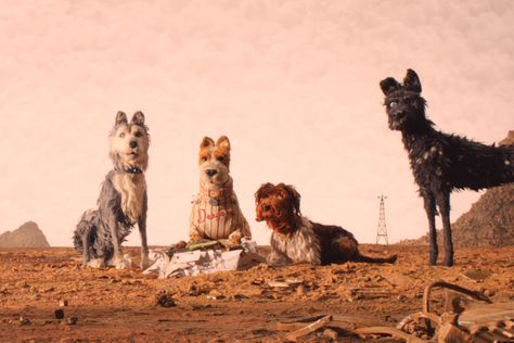 isle-of-dogs-iod_2k_scope_003.00087387_rgb, Wes Anderson’s Isle of Dogs Jungle Safari Birthday, Dog Background, Wes Anderson Movies, Wes Anderson Films, Dog Movies, Isle Of Dogs, Septième Art, Funny Pictures With Captions, 2018 Movies