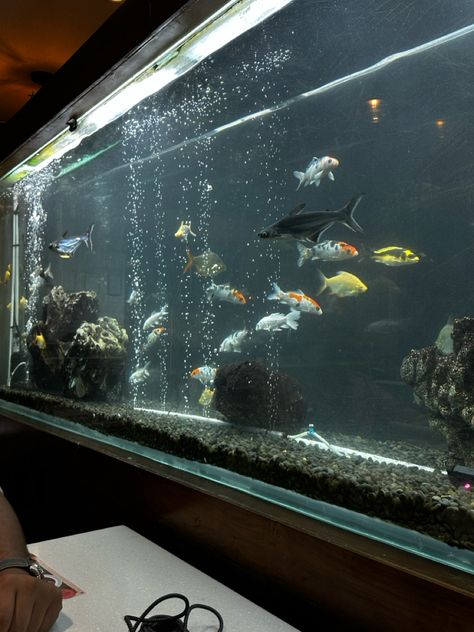 Aquarium Cafe, Aquarium Restaurant, Aesthetic Aquarium, Restaurant Fish, Black Restaurant, Mini Aquarium, Restaurant Exterior, Asian Restaurant, Luxury Restaurant