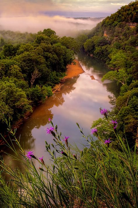 Vilander Bluffs on the Meramec River in Missouri | Scaly Bla… | Flickr Alabama Roll Tide, Missouri River, River Photography, White River, Roll Tide, Summer Reading, Missouri, Alabama, Road Trip