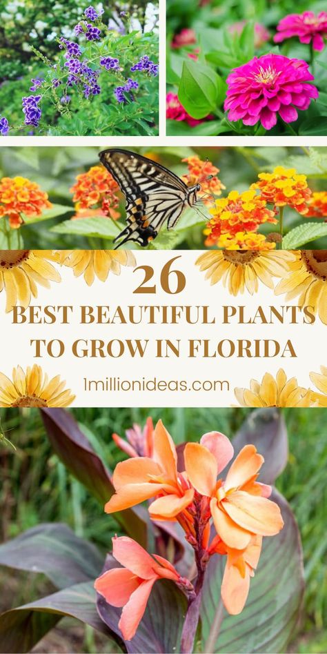 Easy Florida Landscaping Front Yards, Best Plants To Grow In Florida, Planting In Florida, Florida Perennials Full Sun, Butterfly Garden In Florida, Florida House Landscaping, Flowers In Florida, North Florida Garden, Plants For Florida Landscaping