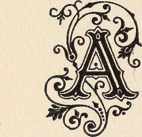 Beautiful Signatures, Letter A Tattoo, Black And White Calligraphy, Abstract Tattoo Ideas, Halloween Camping, A Lettering, Letter Tattoo, Font Ideas, Lettering Art