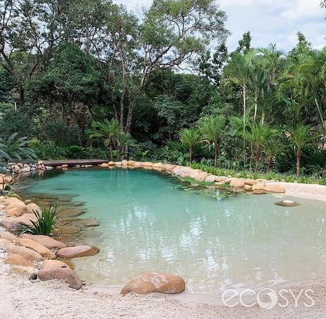 Swimming Pools Ideas, Organic Pool, Pool Natural, Pools Ideas, Swimming Pool Pond, Taman Air, Beach Entry Pool, Dream Backyard Pool, Natural Swimming Ponds