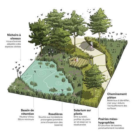 500 million+ members | Manage your professional identity. Build and engage with your professional network. Access knowledge, insights and opportunities. Scape Landscape Architecture, Trees Landscape Architecture, Landscape Design Graphics, Landscape Architecture Axonometric, Landscape Architecture Planting Plan, Landscape Cover Design, Tree Concept Architecture, Master Plan Landscape Architecture, Landscape Architecture Concept