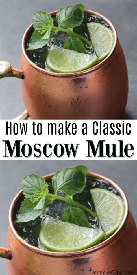 How To Make A Mule Drink, Muscle Mule Drink, Tito’s Moscow Mule, How To Make A Moscow Mule, Green Moscow Mule, Russian Mule Recipe, Rum Mule Drink Recipes, Moscow Mule Recipe Best, Flavored Moscow Mule