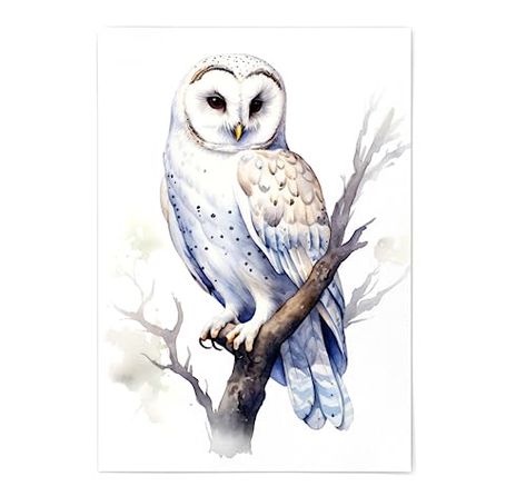 Owl Print - Owl Wall Decor - Owl Print Poster Unframed - Watercolor Owl Print - Cute White Owl Portrait - Owl Artwork Illustration - Various Sizes Available (11x14) Owl Artwork Illustrations, Owl Portrait, Men Home Office, Owl Wall Decor, Owl Artwork, Matte Paint, White Owl, Owl Wall, Owl Print