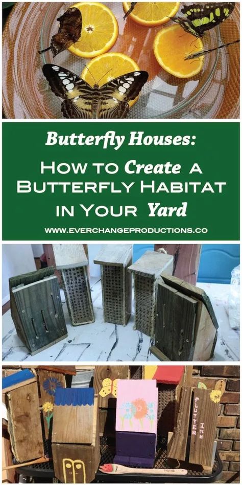 Butterfly Houses: How to Create a Butterfly Habitat in Your Yard - Monarch Butterfly Habitat, Monarch Butterfly Garden, Butterfly Feeders, Butterfly Feeder, Butterfly Garden Plants, Butterflies Activities, Butterfly Habitat, Biodiversity Conservation, Bug Hotel