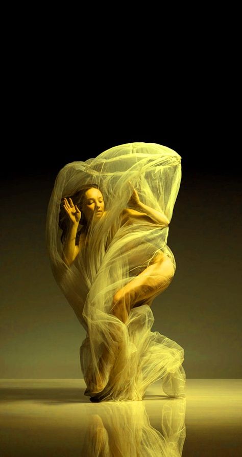 Lois Greenfield, Rembrandt Portrait, 39 Steps, Dancer Photography, Beautiful Dance, Photo Portraits, Dance Photography Poses, Arte Van Gogh, Motion Blur