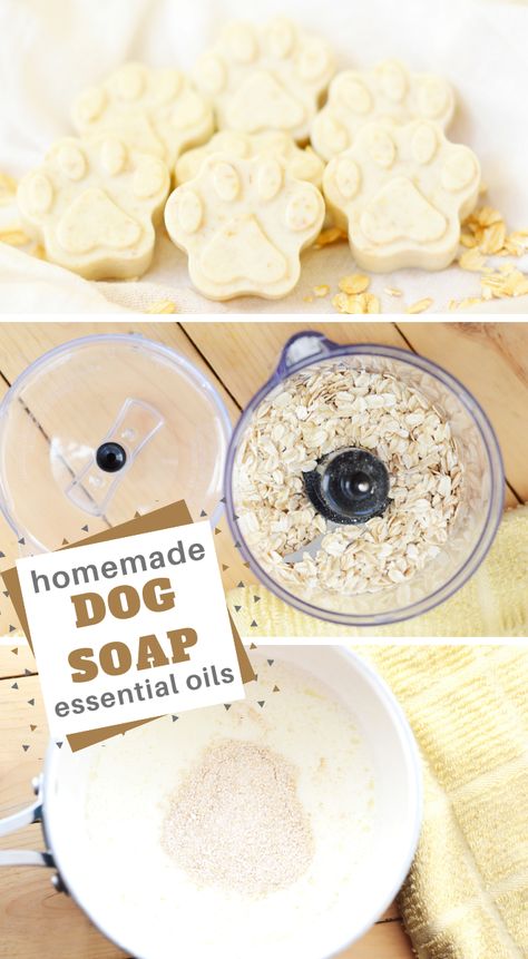 Homemade dog soap from essential oils and goats milk Goat Milk Dog Soap Recipe, Diy Dog Soap Recipe, Homemade Dog Soap Recipe, Homemade Dog Soap Bars, Cold Process Dog Soap Recipes, Dog Shampoo Bar Recipe Melt And Pour, Homemade Dog Products, Dog Products To Make And Sell, Dog Shampoo Bar Recipe