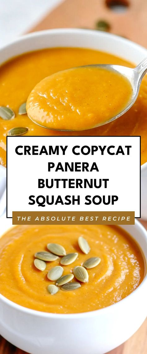 Image for Creamy Copycat Panera Butternut Squash Soup Panera Fall Squash Soup, Panera Copycat Autumn Squash Soup, Panera Copycat Soup, Panera Butternut Squash Soup Copycat, Panera Squash Soup Recipe, Butternut Squash Soup Panera, Squash Soup Panera, Panera Butternut Squash Soup, Panera Autumn Squash Soup Recipe