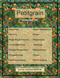 Petitgrain Essential Oil Benefits/ To order my link is on my profile. My member… Petitgrain Essential Oil, Terra Essential Oils, Brown Basket, Coconut Health Benefits, Benefits Of Coconut Oil, Essential Oil Benefits, Young Living Oils, Doterra Oils, Oil Benefits