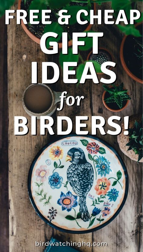 Free & Cheap Gift Ideas for Birders - When you need a quick and easy idea for the bird lover in your life, check out these amazing gifts! Every bird enthusiast will love these thoughtful gifts! #freegifts #birdwatching #birdgifts Expensive Gift Ideas, Easy Cheap Gifts, Cheap Gift Ideas, Diy Snowman Ornaments, Bird Watching Gifts, Inexpensive Christmas Gifts, Bird Identification, Cheap Christmas Gifts, Cheap Gift