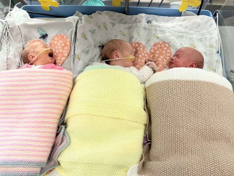 Quadruplets Nursery, Triplet Newborn, Triplets Babies Newborns, Triplet Nursery, Triplets Nursery, Identical Quadruplets, Newborn Triplets, Triplets Pregnancy, Identical Triplets