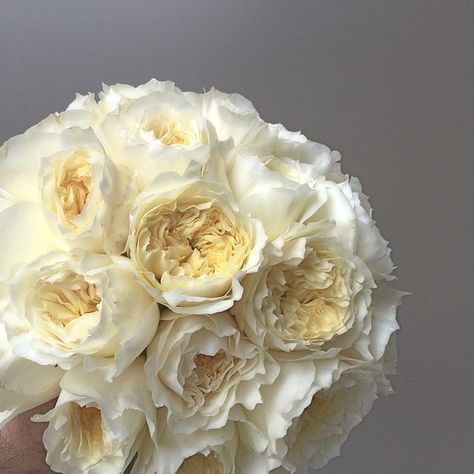 White English Roses Bouquet, Juliet Rose Wedding Bouquet, David Austin Wedding Bouquet, English Rose Wedding Bouquet, English Roses Bouquet, David Austin Bouquet, David Austin Roses Bouquet, English Rose Bouquet, Garden Rose Bridal Bouquet