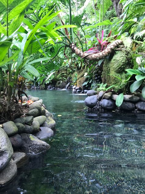 Bali Backyard, Forest Pool, Bali Pool, Waterscape Design, Bali Garden, Taman Air, Outdoor Ponds, Zen Garden Design, Tropical Garden Design