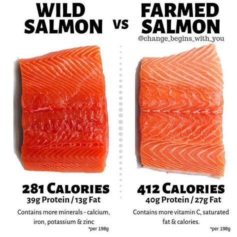 Spot the difference 🐟 Nothing is created equal - It’s all about the details. Salmon is NO exception. Wild fish trumps farmed fish 🎣.… Best Protein Sources, Salmon Farming, Salmon Fillet, Nutrition Sportive, Healthy Instant Pot Recipes, Good Sources Of Protein, Fatty Fish, Best Protein, Salmon Fillets