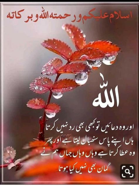 Asslam O Alaikum Subha Bakhair, Morning Wishes In Urdu, Jumuah Quotes, Islamic Birthday Wishes, Suba Bakhair, Urdu Dua, Gud Morning Images, Subha Bakhair, Subah Bakhair