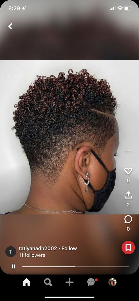 Natural Hair Styles For Black Women Mohawk Short Haircuts, Curly High Top Fade Black Women, Twa Tapered Fade, Women Mohawk Short, Womens Natural Fade Haircut, Natural Hair Tapered Haircut Black Women, Natural Hair Fades For Women, Tapered Hairstyles For Black Women, Taper Fade Haircut Women Black Design