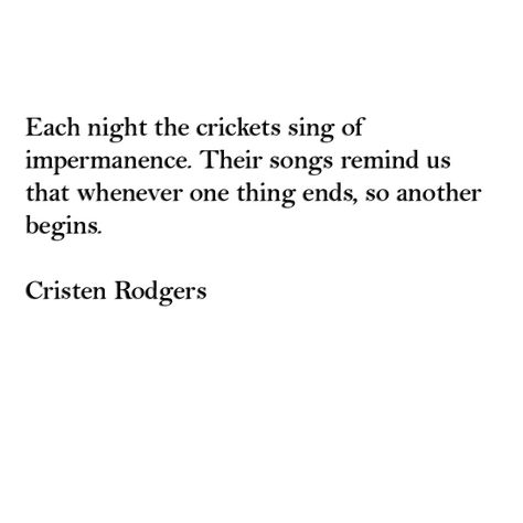 #impermanence #quotes #Cristen Rodgers #amwriting #poetry #cricket #songs #detachment #spirituality Detachment Spirituality, Quote On Attachment, Practice Detachment Quotes, Impermanence Quotes, Detachment Quotes Geeta, Those Who Were Seen Dancing Quote, Learn To Dance In The Rain Quote, I Know A Place, Hello January