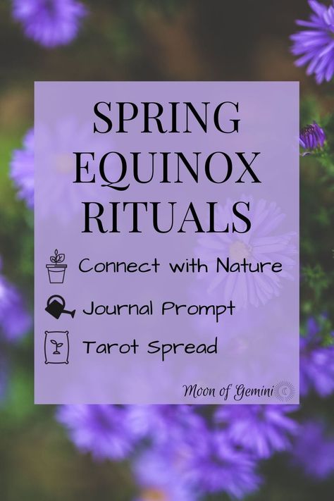 3 Simple Spring Equinox Rituals To Celebrate Ostara • Moon of Gemini Celebrate Ostara, Spring Equinox Ritual, Ostara Ritual, Tarot Card Layouts, Connect To Nature, Spring Nails 2020, Grow As A Person, Beginning Of Spring, Spring Breakers