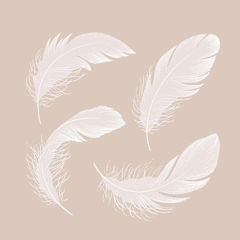 Feathers Illustration, Feather Circle, Feather Background, Feather Illustration, Feather Vector, Feather Texture, Boutique Ideas, Vector Photo, Graphic Design Inspiration