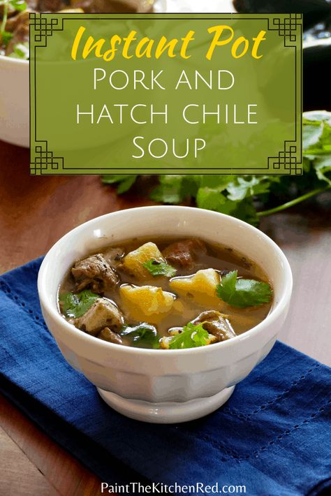 This satisfying Instant Pot Pork Soup with New Mexico Hatch Chiles achieves long-simmered flavor in a short pressure cooking time. Although made with simple ingredients, roasted green chiles add a kick of spicy flavor to this recipe, making this stew an ideal comfort meal. Instant Pot Hatch Green Chili Pork Stew, Green Chili Stew Instant Pot, Instant Pot Green Chile Stew, Green Chili Pork Stew, Hatch Chilis, Gf Soup, Hatch Chilies, Best Instapot Recipes, Green Chili Stew