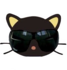 Choco Cat, Cool Sunglasses, Black Cat, Sunglasses, Black