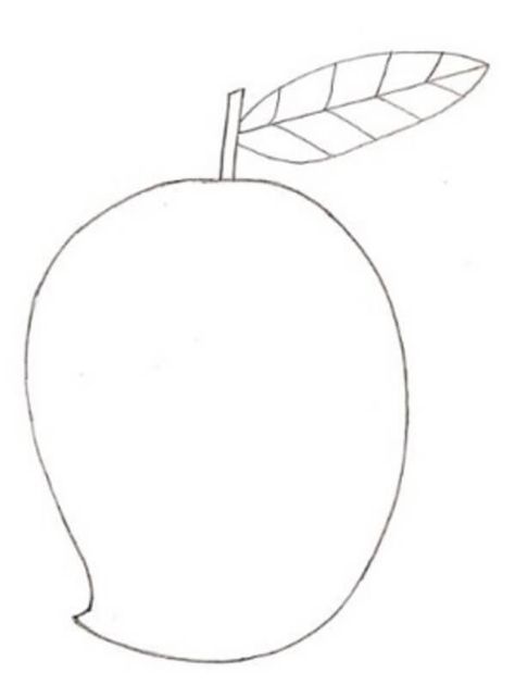 Mango Drawing & Sketches for Kids Check more at https://www.kidsartncraft.com/mango-drawing-sketches-for-kids/ Mango Sketch, Mango Drawings, Sketches For Kids, Mango Drawing, Children Sketch, Tracing Paper, Elegant Frame, Sketch Drawing, Drawing Sketch