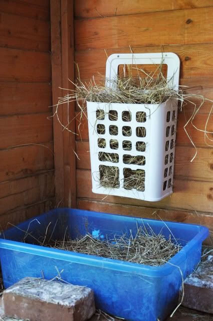 Can anyone sudgest a good hay rack? - Rabbits United Forum Hay Rack For Rabbits, Diy Hay Feeder Rabbit, Diy Hay Feeder, Ikea Bag, Rabbit Hay Feeder, Hay Rack, Rabbit Stuff, Guinea Pig Hutch, Rabbit Farm