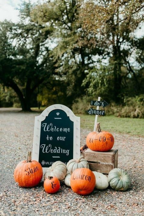 Pumpkin Wedding Card Holder, Fall Evening Wedding Ideas, Fall Wedding In A Field, Wedding Decorations With Pumpkins, Micro Wedding Fall, Wedding Decor Fall Rustic, Outdoor Fall Wedding Ideas November, Outdoor Fall Wedding Reception Ideas, Pumpkins Wedding Decorations