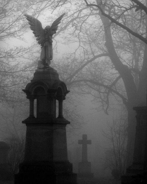 Angel Statue, An Angel, Cemetery, The Middle, Trees, Angel, Statue