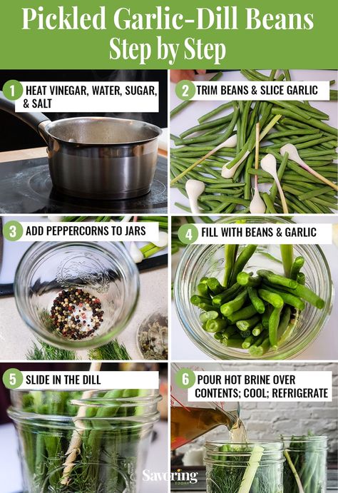 Learn how to make zesty, quick-pickled green beans at home—perfect for charcuterie, snacks, salads, and more. Create more exciting dinners with homemade condiments like refrigerator pickles. So easy, you can make it a project with the kids! #recipe #summer #quickpickles Pickled Green Bean Recipes, Charcuterie Snacks, Basic Brine, Lamb Salad, Quick Pickles, Pickled Green Beans, Dilly Beans, Kids Recipe, Quick Pickled