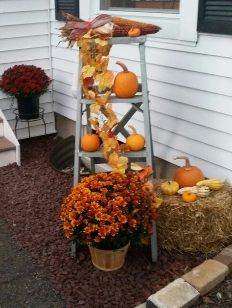 Ladder decor Fall Ladder Decor Ideas Outdoor, Step Ladder Decor Display Ideas, Fall Ladder Decor Ideas, Fall Yard Display, Mini Ladder Decor, Flower Ladder, Garden Ladder, Fall Yard Decor, Fall Yard