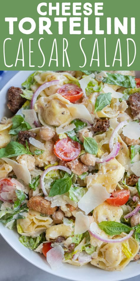 This Cheese Tortellini Caesar Salad Recipe is easy to make, requires just a few ingredients and is great for all your summer needs! Serve as a side dish at your next picnic or enjoy for lunch with a side of baked bread. This filling vegetarian pasta salad is packed with protein and veggies. #tortellinirecipe #pastasalad #caesarsalad #vegetarian Picnic Pasta Salad, Picnic Salad Recipes, Picnic Salad, Vegetarian Pasta Salad, Amazing Vegetarian Recipes, Summer Pasta Recipes, Veg Meals, Pasta Salad With Tortellini, Cold Salads