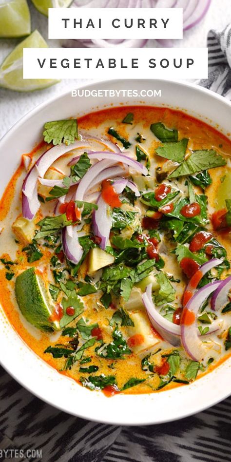 Thai Coconut Vegetable Soup, Thai Red Curry Soup Vegetarian, Thai Curry Vegetable Soup, Coconut Soup Vegan, Thai Stew Recipes, Thai Basil Soup Recipe, Roasted Vegetable Soup Coconut Milk, Healthy Thai Soup Recipes, Spicy Vegetarian Soup