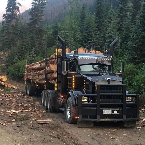 Kenworth Dump Trucks, Heavy Haul Trucks, Log Truck, Kenworth T800, Heavy Haul, Truck Transport, Train Truck, Custom Big Rigs, Western Star