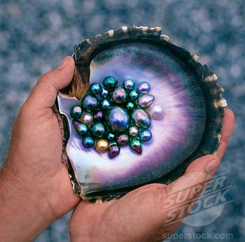 Black Pearls In An Oyster Shell, Tahiti Stock Photo Image - via http://bit.ly/epinner She Sells Seashells, Tahitian Black Pearls, Bohol, Valerian, Rocks And Gems, Tahitian Pearls, Gems And Minerals, Crystal Gems, Crystals Minerals