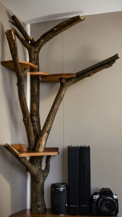 Transform your bedroom into a unique grunge-inspired sanctuary with DIY Tree Branch Shelves Learn how to create floating plant wall shelves in your corner or on the wall with brackets This step-by-step tutorial will guide you to achieve the ultimate rustic look with tree branch shelves for a cozy and stylish bedroom ambiance Diy Indoor Tree Branch, Tree Branch Diy Projects, Tree Limb Projects Diy Ideas, Diy Tree Bookshelf, Plant Wall Shelves, Branch Shelves, Diy Tree Branch, Tree Branch Decor, Tree Shelf