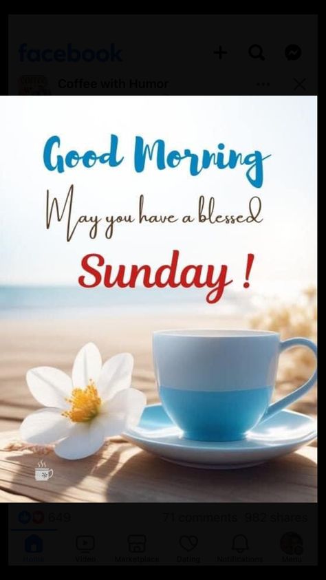 Happy Sunday Wishes, Good Morning Family Quotes, Sunday Morning Wishes, Happy Sunday Images, Happy Sunday Morning, Good Morning Msg, Have A Blessed Sunday, Sunday Wishes, Beautiful Good Night Quotes