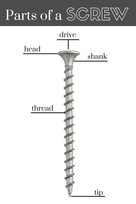 Before we get into the specifics of the different types of screws, it’s important to understand the basics of every kind of screw. #screws #types #DIY Types Of Screws, Pocket Hole Joinery, Screw Drivers, Wood Craft Projects, Drywall Screws, Wood Plugs, Metal Working Projects, Pocket Hole Screws, Screw It