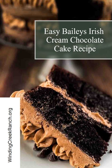 This Baileys Irish Cream Chocolate Cake is a rich and decadent dessert you will love! This incredibly moist and tender cake is infused with the delicious flavor of Baileys Irish Cream and topped with a creamy Baileys buttercream frosting. It makes the perfect St. Patrick's Day dessert! Baileys Irish Cream Chocolate Cake With Baileys Buttercream Frosting, Chocolate Alcohol Cake, Baileys Chocolate Cake Recipe, Irish Chocolate Cake, Chocolate Cake With Alcohol, Baileys Irish Cream Chocolate Cake, Baileys Chocolate Cake, Baileys Cake Recipe, Irish Cream Chocolate Cake